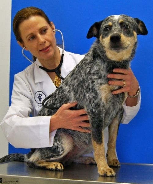 Dr. Risa Moore